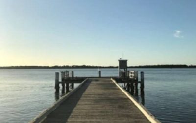 Artykuł nr&nbsp;4 – testowy czy&nbsp;działa